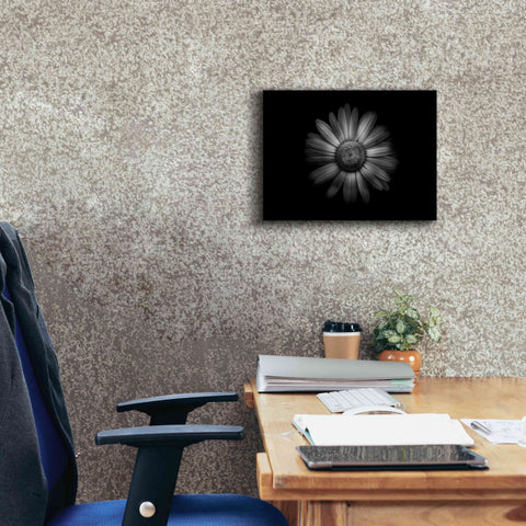 Image of 'Backyard Flowers In Black And White 31' by Brian Carson, Giclee Canvas Wall Art,16 x 12