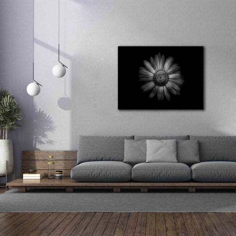 Image of 'Backyard Flowers In Black And White 31' by Brian Carson, Giclee Canvas Wall Art,54 x 40