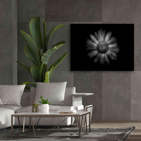 Image of 'Backyard Flowers In Black And White 31' by Brian Carson, Giclee Canvas Wall Art,54 x 40
