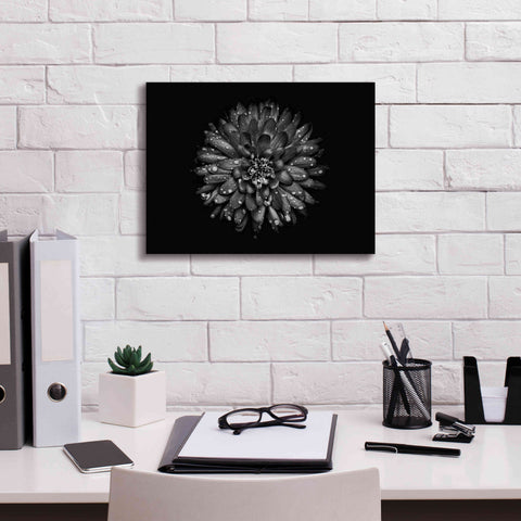 Image of 'Backyard Flowers In Black And White 45' by Brian Carson, Giclee Canvas Wall Art,16 x 12