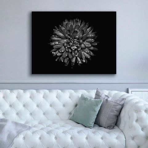 Image of 'Backyard Flowers In Black And White 45' by Brian Carson, Giclee Canvas Wall Art,54 x 40