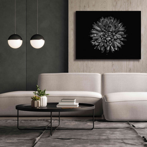 Image of 'Backyard Flowers In Black And White 45' by Brian Carson, Giclee Canvas Wall Art,54 x 40