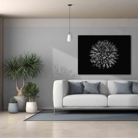 Image of 'Backyard Flowers In Black And White 45' by Brian Carson, Giclee Canvas Wall Art,54 x 40