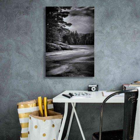 Image of 'Gullwing Lake No 4' by Brian Carson, Giclee Canvas Wall Art,18 x 26