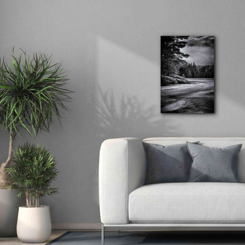 Image of 'Gullwing Lake No 4' by Brian Carson, Giclee Canvas Wall Art,18 x 26