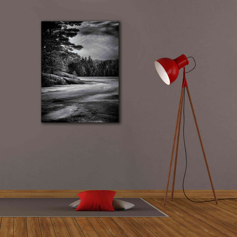 Image of 'Gullwing Lake No 4' by Brian Carson, Giclee Canvas Wall Art,26 x 34