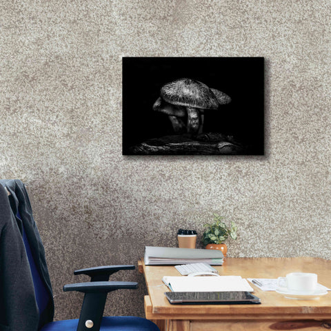 Image of 'Toadstools On A Trail No 1' by Brian Carson, Giclee Canvas Wall Art,26 x 18