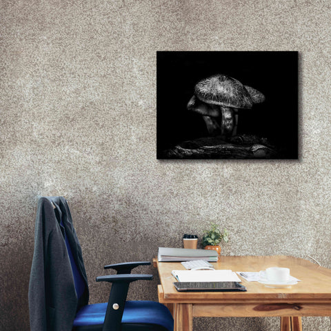 Image of 'Toadstools On A Trail No 1' by Brian Carson, Giclee Canvas Wall Art,34 x 26