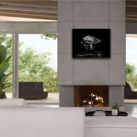 Image of 'Toadstools On A Trail No 1' by Brian Carson, Giclee Canvas Wall Art,34 x 26