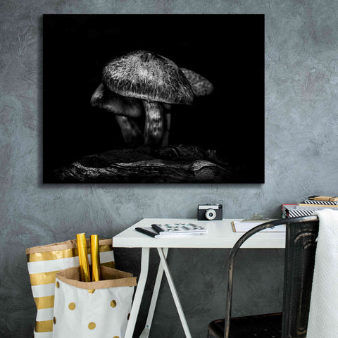 Image of 'Toadstools On A Trail No 1' by Brian Carson, Giclee Canvas Wall Art,34 x 26