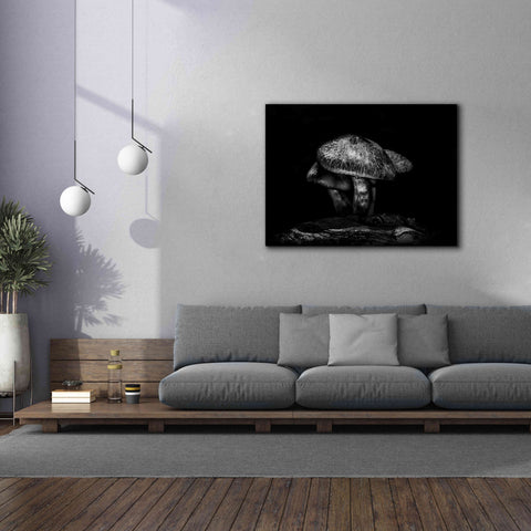 Image of 'Toadstools On A Trail No 1' by Brian Carson, Giclee Canvas Wall Art,54 x 40