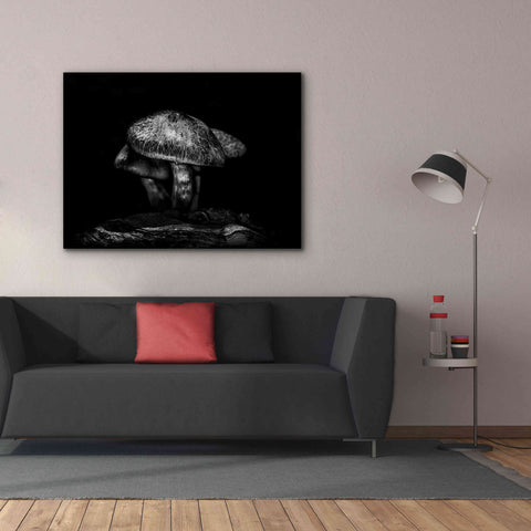 Image of 'Toadstools On A Trail No 1' by Brian Carson, Giclee Canvas Wall Art,54 x 40