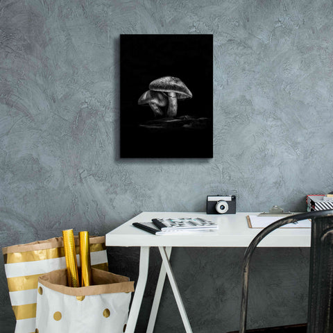 Image of 'Toadstools On A Trail No 2' by Brian Carson, Giclee Canvas Wall Art,12 x 16