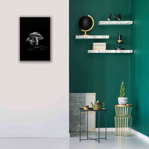 Image of 'Toadstools On A Trail No 2' by Brian Carson, Giclee Canvas Wall Art,18 x 26