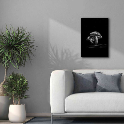 Image of 'Toadstools On A Trail No 2' by Brian Carson, Giclee Canvas Wall Art,18 x 26