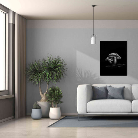 Image of 'Toadstools On A Trail No 2' by Brian Carson, Giclee Canvas Wall Art,26 x 34