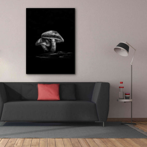 Image of 'Toadstools On A Trail No 2' by Brian Carson, Giclee Canvas Wall Art,40 x 54