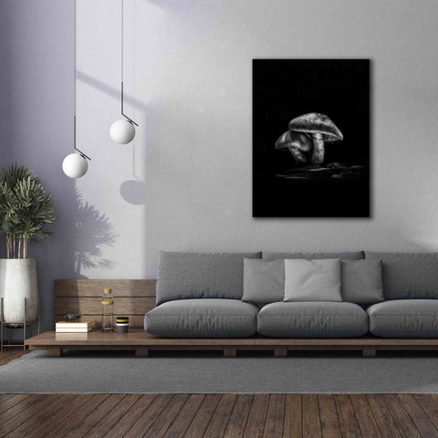 Image of 'Toadstools On A Trail No 2' by Brian Carson, Giclee Canvas Wall Art,40 x 54