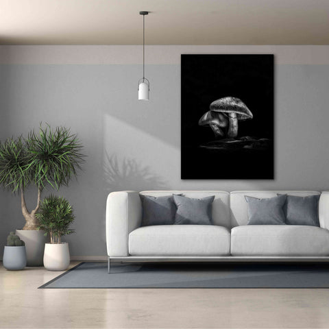 Image of 'Toadstools On A Trail No 2' by Brian Carson, Giclee Canvas Wall Art,40 x 54