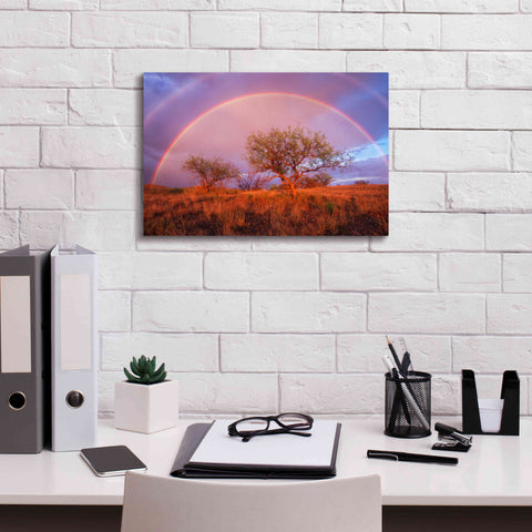 Image of 'Arizona Rainbow' by Thomas Haney, Giclee Canvas Wall Art,18 x 12