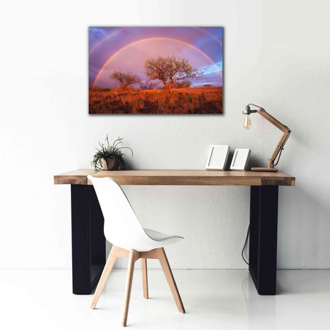 Image of 'Arizona Rainbow' by Thomas Haney, Giclee Canvas Wall Art,40 x 26