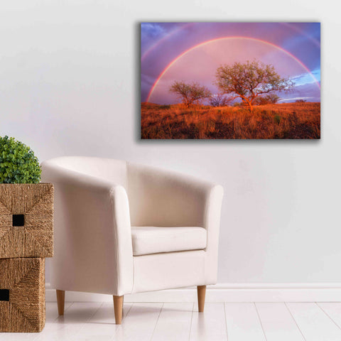 Image of 'Arizona Rainbow' by Thomas Haney, Giclee Canvas Wall Art,40 x 26