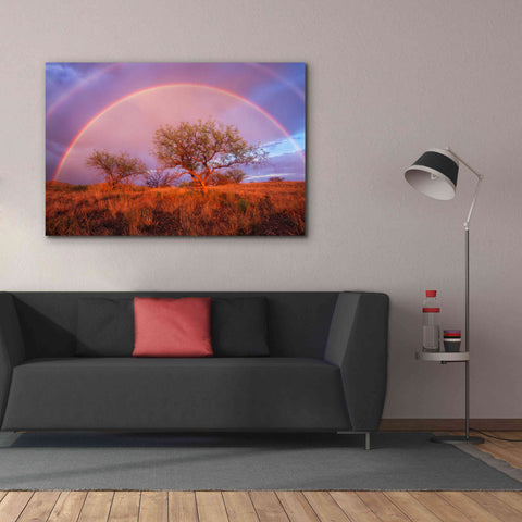 Image of 'Arizona Rainbow' by Thomas Haney, Giclee Canvas Wall Art,60 x 40