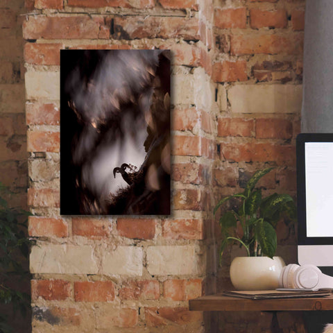 Image of 'Bighorn Silhouette Best' by Thomas Haney, Giclee Canvas Wall Art,12 x 18