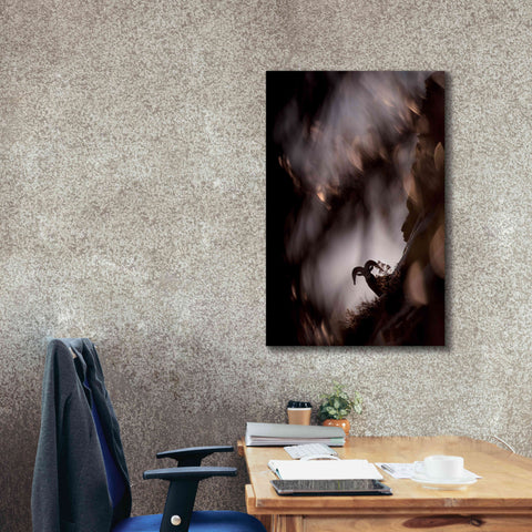 Image of 'Bighorn Silhouette Best' by Thomas Haney, Giclee Canvas Wall Art,26 x 40