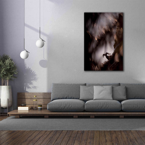 Image of 'Bighorn Silhouette Best' by Thomas Haney, Giclee Canvas Wall Art,40 x 60