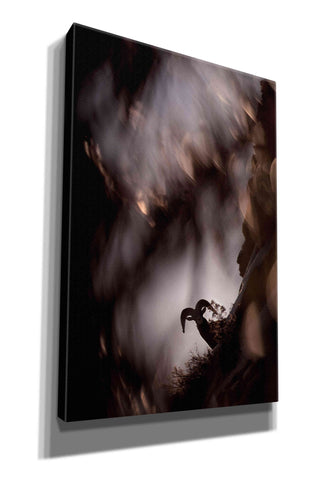 Image of 'Bighorn Silhouette Best' by Thomas Haney, Giclee Canvas Wall Art