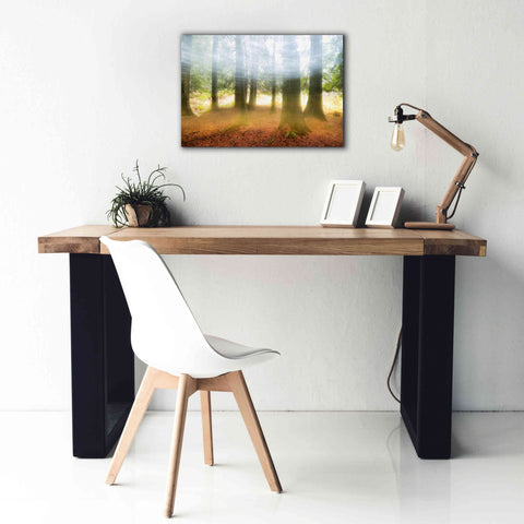 Image of 'Blurred Trees' by Thomas Haney, Giclee Canvas Wall Art,26 x 18