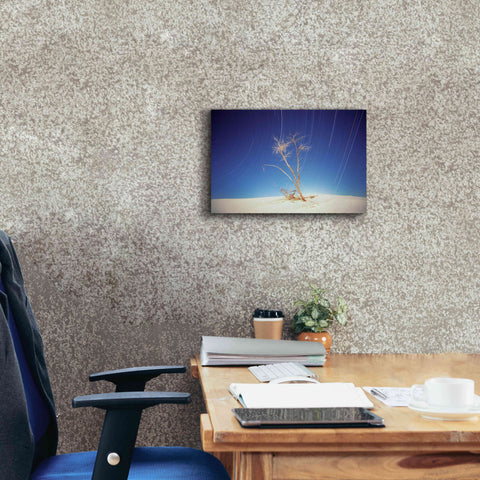 Image of 'Bright Cottonwood Drum Scan' by Thomas Haney, Giclee Canvas Wall Art,18 x 12