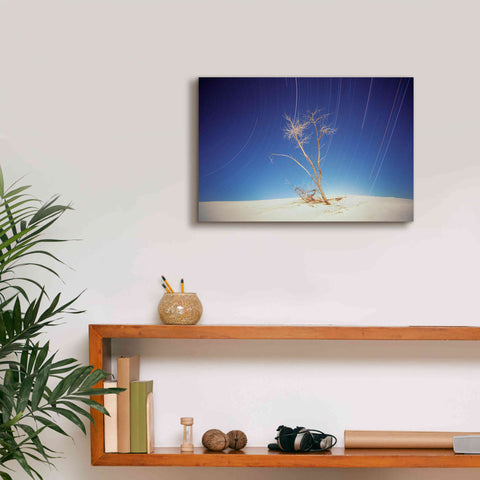 Image of 'Bright Cottonwood Drum Scan' by Thomas Haney, Giclee Canvas Wall Art,18 x 12