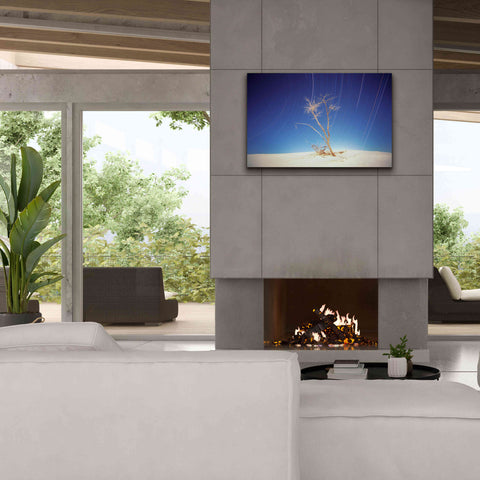 Image of 'Bright Cottonwood Drum Scan' by Thomas Haney, Giclee Canvas Wall Art,40 x 26