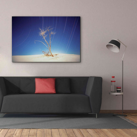 Image of 'Bright Cottonwood Drum Scan' by Thomas Haney, Giclee Canvas Wall Art,60 x 40