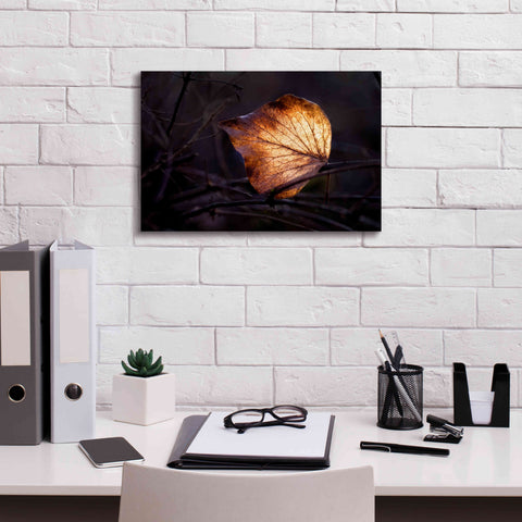 Image of 'Bright Leaf Proc' by Thomas Haney, Giclee Canvas Wall Art,18 x 12