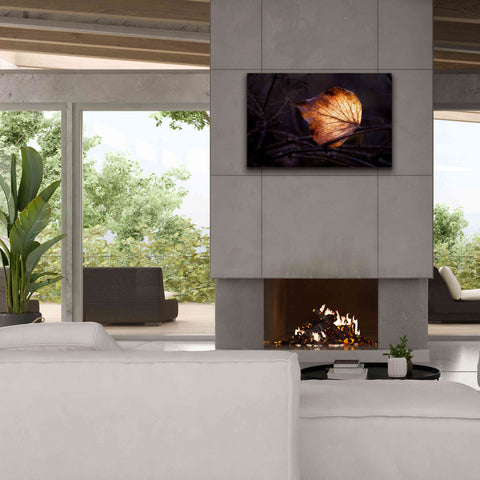 Image of 'Bright Leaf Proc' by Thomas Haney, Giclee Canvas Wall Art,40 x 26