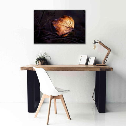 Image of 'Bright Leaf Proc' by Thomas Haney, Giclee Canvas Wall Art,40 x 26