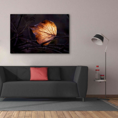 Image of 'Bright Leaf Proc' by Thomas Haney, Giclee Canvas Wall Art,60 x 40