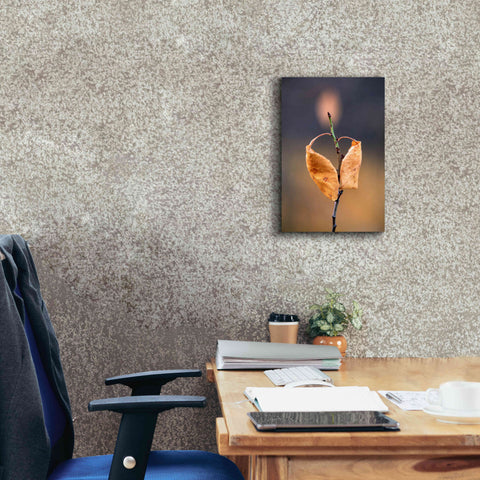 Image of 'Candle Plant' by Thomas Haney, Giclee Canvas Wall Art,12 x 18