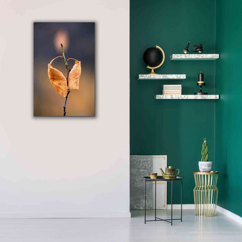 Image of 'Candle Plant' by Thomas Haney, Giclee Canvas Wall Art,26 x 40