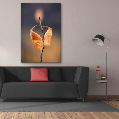 Image of 'Candle Plant' by Thomas Haney, Giclee Canvas Wall Art,40 x 60