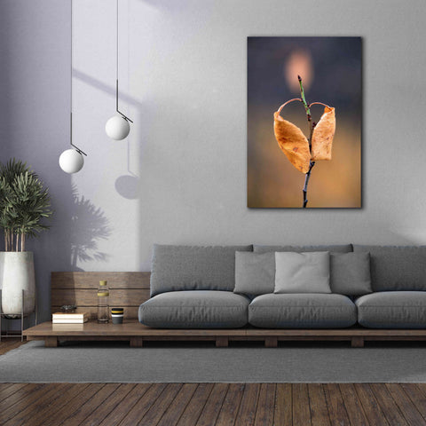 Image of 'Candle Plant' by Thomas Haney, Giclee Canvas Wall Art,40 x 60
