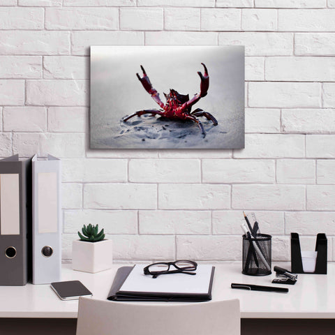 Image of 'Claws Up' by Thomas Haney, Giclee Canvas Wall Art,18 x 12