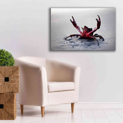 Image of 'Claws Up' by Thomas Haney, Giclee Canvas Wall Art,40 x 26