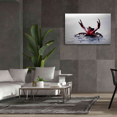 Image of 'Claws Up' by Thomas Haney, Giclee Canvas Wall Art,60 x 40