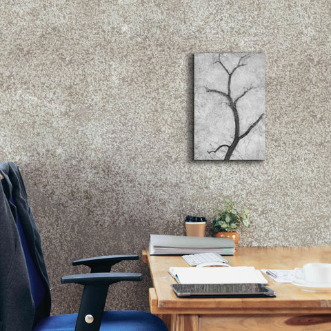 Image of 'Cottonwood Form B&W' by Thomas Haney, Giclee Canvas Wall Art,12 x 18