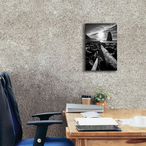 Image of 'Driftwood Sun 1 Silver' by Thomas Haney, Giclee Canvas Wall Art,12 x 18