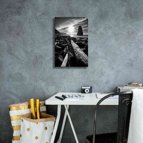 Image of 'Driftwood Sun 1 Silver' by Thomas Haney, Giclee Canvas Wall Art,12 x 18